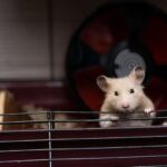 Araşdırmaya görə, uşaqlıqdakı qeyri-sabitlik qadınların cinsi strategiyalarını sürətləndirir