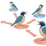 Şənbə Sitatları: Yaxşı insanlar daha xoşbəxtdir; Uran buzlu olmaya bilər; SIM ferması haqqında hesabat