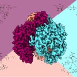 Çandra ilə birlikdə soyuq nüvəli olmayan kütləvi qalaktika çoxluğu kəşf edildi