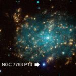 Bioloqlar hüceyrə adgeziyasının qədim formasını aşkar etdilər