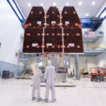 Yeni nəhəng ördək gövdəli dinozavr növləri müəyyən edilib