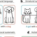 Dinamik bakteriya dueti Mars tozunu ilk insan kolonistləri üçün çox yönlü tikinti materialına çevirə bilər