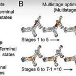 Neytron ulduzu P13, fırlanma sürəti ilə əlaqəli dramatik rentgen dəyişkənliyi göstərir
