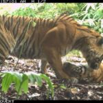 Günəş işığı, su və hava enerjisi hidrogen peroksidin istehsalı üçün daha təmiz bir üsuldur