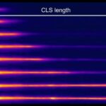 Pegcetacoplan – nadir, ağır böyrək xəstəliyi üçün “müalicəyə ən yaxın şey”