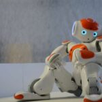 Antarktidanın yeganə yerli böcəyi artıq mikroplastikləri yeyir