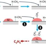 Astronomlar yaxınlıqdakı NGC 3221 qalaktikasında aşağı işıqlı aktiv qalaktik nüvənin olduğunu təsdiqləyiblər.