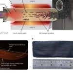 Alimlər 1,4 milyard illik havanın sirlərini açmaq üçün qədim duz kristallarını parçalayırlar