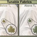 Ramanujanın pi üçün düsturları müasir yüksək enerji fizikası ilə necə əlaqələndirilir