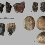 Universal qanun böyük ticarət əməliyyatlarının səhm qiymətlərini necə dəyişdirdiyini izah edə bilər