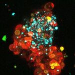 NASA Nensi Qreys Roman Kosmik Teleskopunun tikintisini tamamlayır