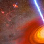 Təkamülü və iqlim dəyişikliyinə davamlılığı araşdırmaq üçün 1000 kəpənək və güvə genomundan istifadə