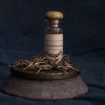 Araşdırma göstərir ki, iqlim dəyişikliyi Avropanın qalan torf sahələrini təhdid edir