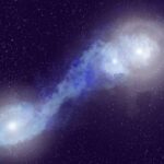 Alimlər daha çox kalori yandırmaq üçün mitoxondriləri gücləndirirlər