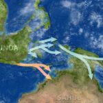 Siçanlarda çəki artımına mane olan bağırsaq bakteriyaları