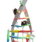 Xroniki sirr istifadəsi, qusma və məcburi çimmək – gizli sindromun simptomları