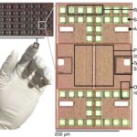 T hüceyrə reseptorları haqqında yeni anlayış xərçəng immunoterapiyalarını yaxşılaşdıra bilər