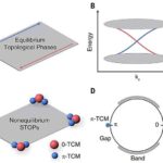 Tədqiqatın nəticələrinə görə, fil suitiləri rəqiblərini əvvəlki illərdən tanıyır