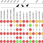 Millimetrdən kiçik robotlar özləri hiss edə, “düşünə” və hərəkət edə bilirlər