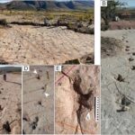 Ramanujanın pi üçün düsturları müasir yüksək enerji fizikası ilə necə əlaqələndirilir