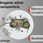 Məşhur Rutland mozaikası Roma Britaniyasını qədim klassik dünya ilə birləşdirən “çoxdan itirilmiş” Troya hekayəsini təsvir edir.