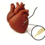 Parker Solar Probe günəş küləyinin “geri dönüşünü” müşahidə edib