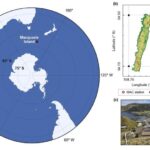 Gen redaktəsi iri miqyaslı əkinçilik üçün uyğun olan yığcam qızılgiləmeyvə bitkiləri yaradırBoyce Thompson İnstitutu tərəfindən
