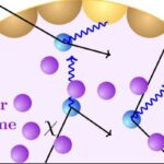 Kanar adaları qlobal dəniz kirpisi qatili pandemiyasında “itkin halqa” ola bilər