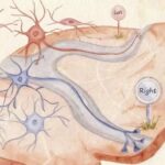 Antarktida buzlarının altındakı qədim iqlim əlamətlərini tapmaq missiyası başlayır