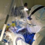 Azad alpinistlər İtaliyada qədim dəniz tısbağasının izdihamının qalıqlarını aşkar ediblər