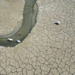 Çin hissəcik sürətləndiricisi meqa-layihəsini dayandırdığı üçün CERN nikbindir