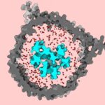 Millimetrdən kiçik robotlar özləri hiss edə, “düşünə” və hərəkət edə bilirlər