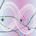 Alimlər bitki hüceyrə divarlarının kök hüceyrələrə necə istiqamət verdiyini kəşf etdilər