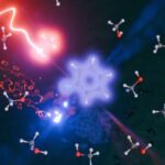 Bioloqlar hüceyrə adgeziyasının qədim formasını aşkar etdilər