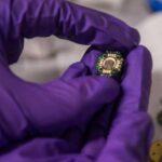 Buzlaqlar buz hərəkətinin ilk qlobal xəritəsinə əsasən proqnozlaşdırıla bilən vaxtlarda sürətlənir və yavaşlayır