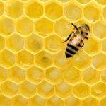 Mükəmməl fırtınalar: Tədqiqatçılar Konnektikutda ekstremal hava şəraitinə hazırlıq məsələsinə işıq salırlar