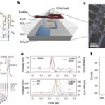 İqlim ekstremal şəraitinə görə insan ölümləri tendensiyalarına yeni bir baxış