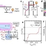 Struktur əsaslı RNT neyro-əzələ xəstəliklərinin müalicəsinə səbəb ola bilər