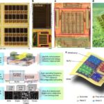 Beynin zülal təmizləmə prosesi demensiyada rol oynaya bilər
