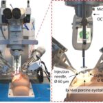 Alimlər ağrının intensivliyini hiss edən və özünü sağaldan süni ağrı reseptoru hazırlayıblar