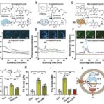Kütləvi spesifikasiyalar sahəsində innovasiya, diqqətdən kənarda qalan molekulları aşkar etmək üçün “zibil qutusu” çeşidləməsindən istifadə edir