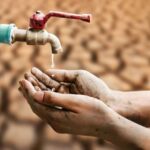 Dəniz ulduzları mərkəzi sinir sistemi və ya beyni olmadan boru ayaqlarını necə idarə edirlər