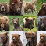 İnkişaf etmiş optik boşluqlarla ultra yüngül qaranlıq maddəni axtarmaq üçün yeni bir üsul