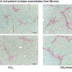 Hərtərəfli xəritə, E3 ligazalarının insan hüceyrələrində zülal təmizlənməsini necə təşkil etdiyini göstərir