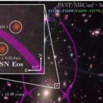 Yeni araşdırma göstərir ki, tikinti tullantıları düşünüləndən daha yüksəkdir – lakin həll yolu daha az tikinti deyil