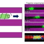 İnnovativ katalizator, tullantıların əlavə məhsulu olan qliserindən hidrogen və formatın CO₂-suz istehsalına imkan verir