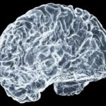 Ağıllı geyilə bilən cihazlar üçün yeni elastik süni intellekt çipi insan saçından daha nazikdir