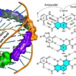 Kvant dünyası tərəfindən enerji yığımına yeni bir yanaşma açıldı