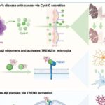 Yeni üç tərəfli tək pilləli yenidənqurma, dəqiq halqa redaktəsini təmin edir