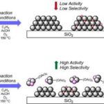 Günəşin qonşularının yeni siyahıyaalınması ömürlük ən yaxşı potensial daşınmaz əmlakı ortaya qoyur